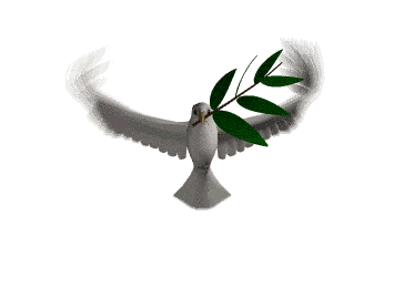 Resultado de imagen para paloma pico olivo